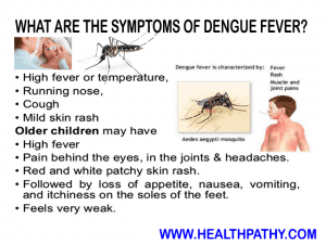 Information about dengue disease causes signs symptoms and treatment