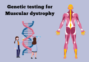 Genetic-testing-for-Muscular-dystrophy