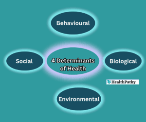 4 Determinants of Health