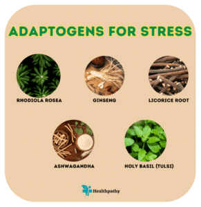 Adaptogens for Stress