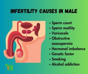 Infertility causes in Male