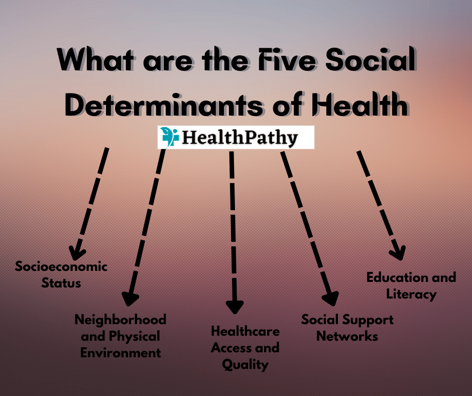 What are the Five Social Determinants of Health