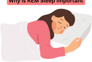 Why is REM Sleep Important